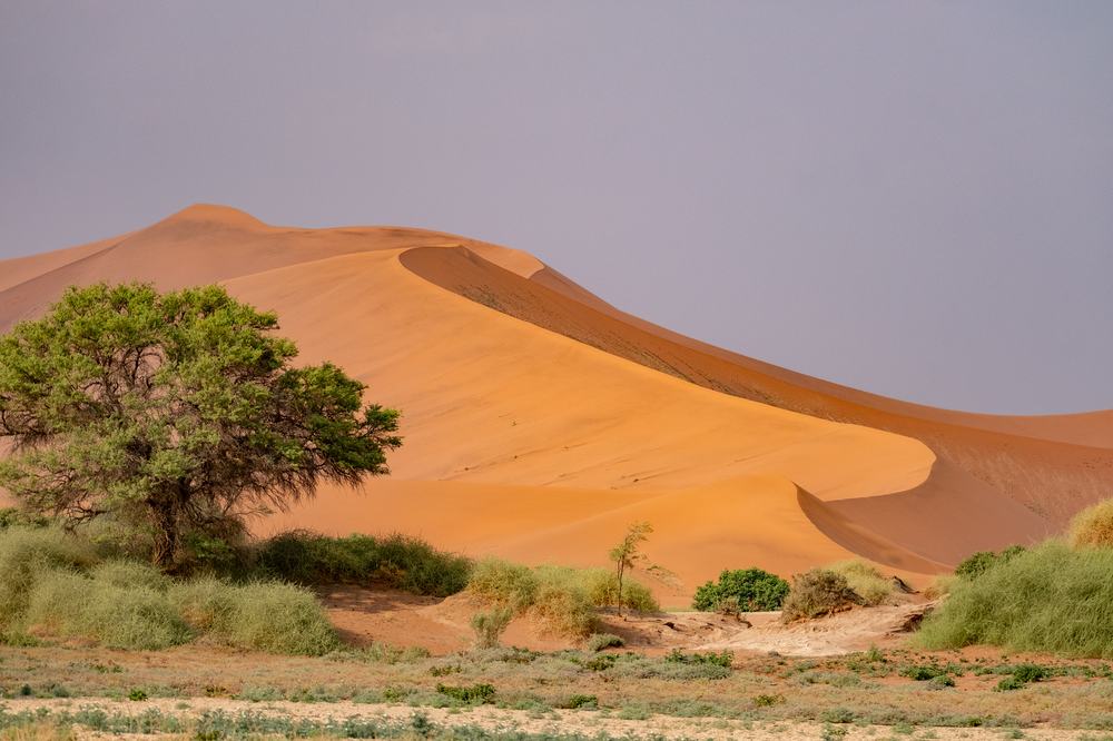 Düne bei Sossusvlei